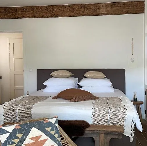 B&B No. 42